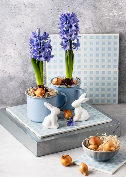 Handmade decoration made with blue grape hyacinthine flowers and onion sets in the old vintage enamel cups for Easter. Copy space.