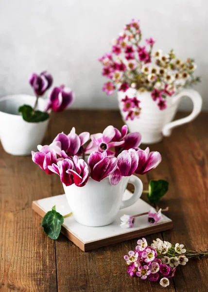 Still life with flower bouquets of fresh purple cyclamens and wax flowers  in a white ceramic tea caps. Florist arrangement or home decoration concept. Vintage style. Selective focus. Copy space.