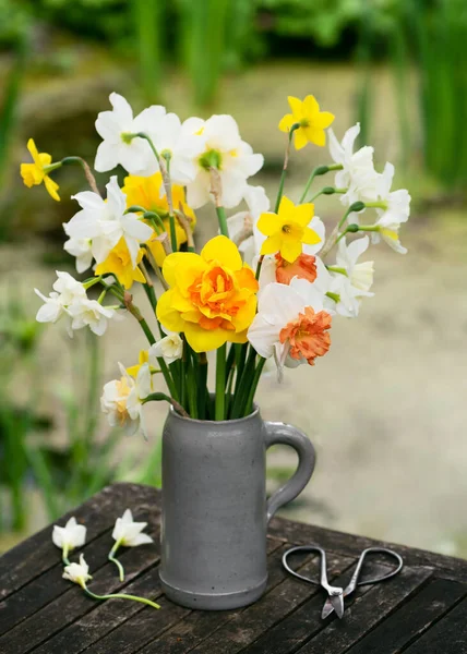 Весенняя Цветочная Композиция Различными Видами Даффодилов Белыми Желтыми Двойными Цветками — стоковое фото
