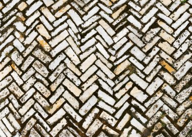 Bitki bahçesinde çimlerle kaplı eski taşların kırsal manzarası. Balık kemiği veya buğday dikenine yerleştirilmiş eski tuğlaların soyut arkaplanı. 