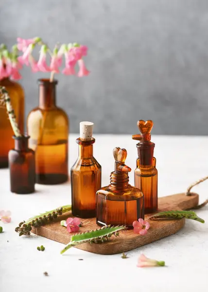 stock image Mother of Thousands plant essential oil (tincture, remedy, infusion) in glass bottles with fresh flowers and leaves. Spa or herbal medicine concept. (Kalanchoe daigremontiana)