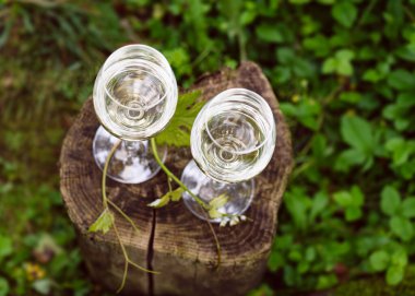 Bahçedeki ağaç kütüğünün üzerinde beyaz şarap standı olan iki bardağın üst görüntüsü. Alkolik içecekler. Kamp yapmak. Piknik. Soğuk beyaz şarap. İki dakika dinlen. Sıcak akşamlar..