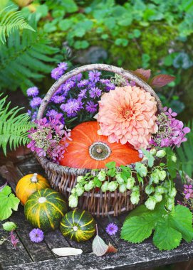 Kayısı çiçekli güzel bir çiçek aranjmanı, hokkaido balkabağı, aster, ve sepetin içinde zıplayan çiçekler. Bahçıvanlık ya da hasat konsepti. Şükran Günü. Seçici odak.