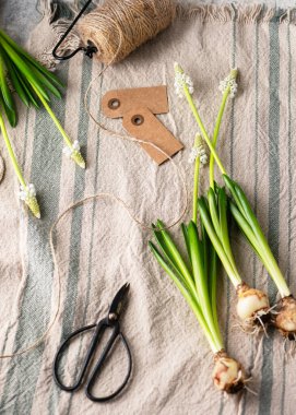 Beyaz üzümlü sümbül çiçekleri ve keten masa örtüsünün üzerindeki ampullerle çiçek aranjmanı. Paskalya ya da Anneler Günü için ev yapımı dekorasyon. Boşluğu kopyala.