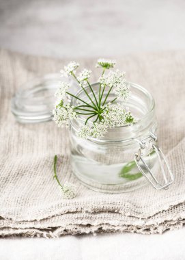 Yer yaşlısıyla ya da piskoposun ot çiçeğiyle keten masa örtüsünün üstünde salıncakta sallanan bir camla yaşamak. (Aegodium podagraria) Ev yapımı dekorasyon konsepti. Boşluğu kopyala.