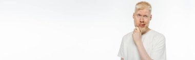 pensive albino man in t-shirt touching beard while thinking on white, banner clipart