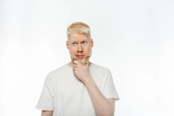 stock image albino man in t-shirt touching beard while thinking on white background