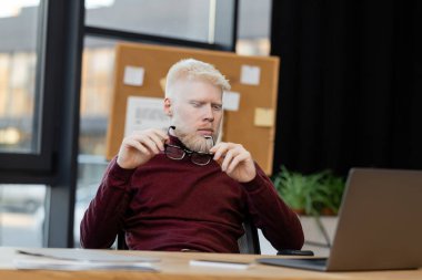 Ofiste dizüstü bilgisayara bakarken gözlük tutan sakallı albino işadamı