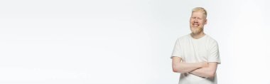 bearded albino man in t-shirt smiling and standing with crossed arms isolated on white, banner clipart