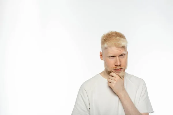 Puzzled albino man in t-shirt touching beard while thinking on white background — Stock Photo