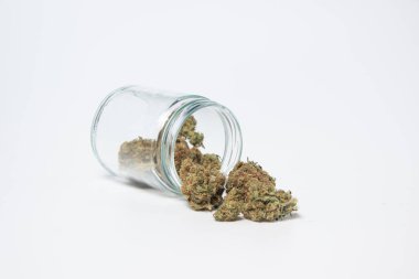 Tıbbi marihuana çiçeği tomurcukları. Eğlence amaçlı marihuana türü