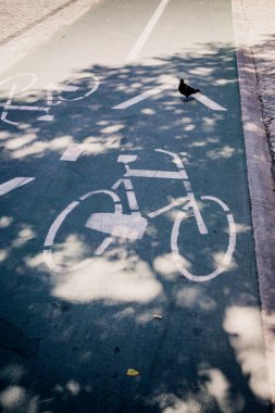 Bisiklet sürmek için boş bir bisiklet yolu. Asfaltta beyaz boyalı bisiklet. Çevresel yeşil kentsel taşımacılık
