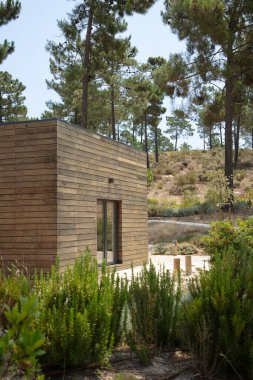 Portekiz 'deki çam ormanlarında ağaçtan yapılmış ekoloji evi.