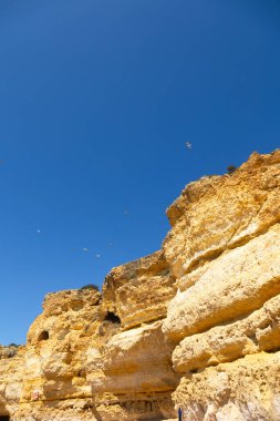 Portekiz 'in Algarve kentinde, parlak mavi bir gökyüzü altında bölgenin ünlü altın kumtaşı uçurumlarının sergilendiği çarpıcı bir sahil manzarası. Güney Portekiz 'in huzurlu güzelliğini somutlaştıran martılar tepemizde süzülüyor..