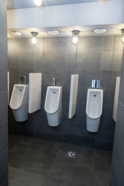 Parlak seramik pisuarları, koyu fayanslı duvarları ve parlak endüstriyel ışıklandırması olan modern umumi tuvalet. Hijyen ve işlevselliği güvence altına alan çağdaş bir tasarımı olan temiz ve minimalist ticari bir tuvalet..