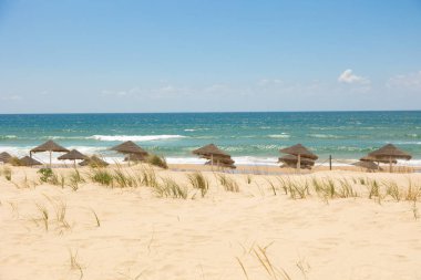 Portekiz 'in Costa da Caparica şehrinin altın kumlarına gölge düşüren saman plajı şemsiyeleri. Parlak bir gökyüzü altında sakin bir deniz manzarası, rahatlama ve yaz tatili görüntüsü için mükemmel..
