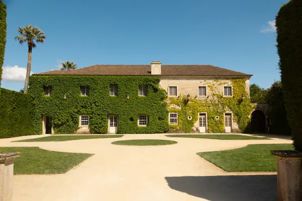 Solar de Pancas 'ın büyüleyici manzarası, Portekiz, Alenquer' de tarihi bir sarmaşık örtülü ev. Zarif bir mimari ve mavi gökyüzünün altında huzurlu bir avlu, seyahat, miras ve mimari temalar için ideal..