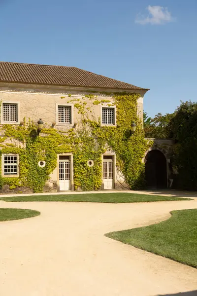 Solar de Pancas 'ın büyüleyici manzarası, Portekiz, Alenquer' de tarihi bir sarmaşık örtülü ev. Zarif bir mimari ve mavi gökyüzünün altında huzurlu bir avlu, seyahat, miras ve mimari temalar için ideal..