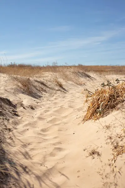 Portekiz 'de parlak mavi bir gökyüzünün altında kumlu kumulların arasından sakin bir yol esiyor. Kuru çimenler ve ayak izleri huzurlu, güneşli bir sahil manzarasının özünü yakalıyor..
