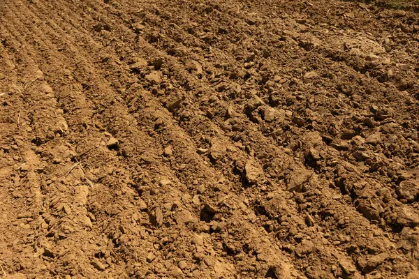 Taze sürülmüş tarlalara yakın plan zengin kahverengi toprak ve tanımlanmış çizgiler, ekime hazır. Görüntü, kırsal bir tarımsal ortamda toprak dokusunu ve desenleri yakalıyor..