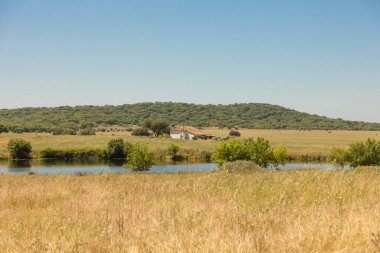 Portekiz 'in Alentejo kentindeki huzurlu kırsal bölgede, sakin bir göl kenarındaki küçük beyaz bir çiftlik evi, açık bir yaz gökyüzü altında kuru çim tarlaları ve yeşil orman tepeleriyle çevrilidir..