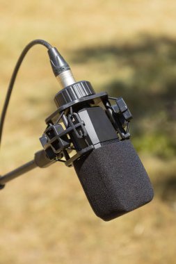 Profesyonel bir yoğunlaştırıcı mikrofonun yakın plan çekimi açık havada, alan kaydı ya da podcast için hazır, bulanık doğal bir arka plan ile yumuşak ve odaklanmış bir görsel karşıtlık yaratıyor..