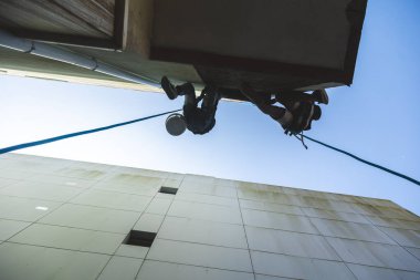 Low-angle view of two rope access workers cleaning a modern building facade. Urban maintenance work at height, showcasing occupational safety and technical expertise.