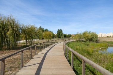 Açık mavi gökyüzünün altında ağaçlar ve bitkilerle çevrili yeşil bir parkta ahşap bir geçit..