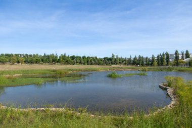 Sakin bir şehir parkı. Etrafı çimen ve ağaçlarla çevrili. Açık mavi bir gökyüzü altında..