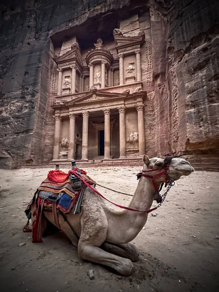 Khazneh Alias Tesoro Petra Jordan Patrimonio Mondiale Dell Umanità Unesco — Foto Stock