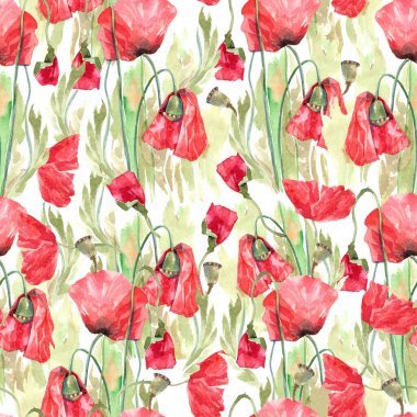 Sulu kırmızı haşhaş ile kusursuz bir süs.