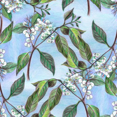 Çalılar ve çalılıklarda beyaz böğürtlenli kusursuz süsler, pastel çizimler.