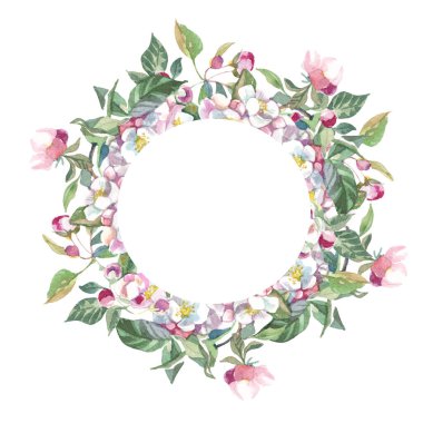 Kiraz çiçekli ve yapraklı Corolla. 