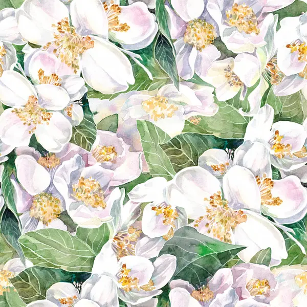 Nahtloses Muster Mit Weißen Jasminblüten Aquarell Auf Papier Textiler Hintergrund lizenzfreie Stockfotos