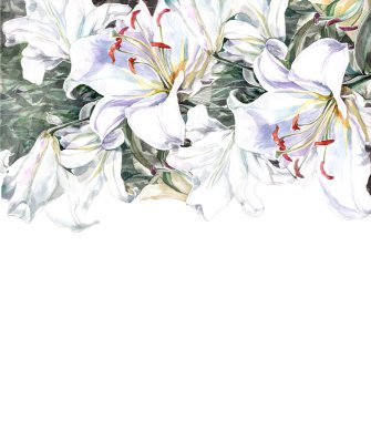 Anneler günü, beyaz zambak çiçekli düğün kartı, kağıda suluboya çizimler.