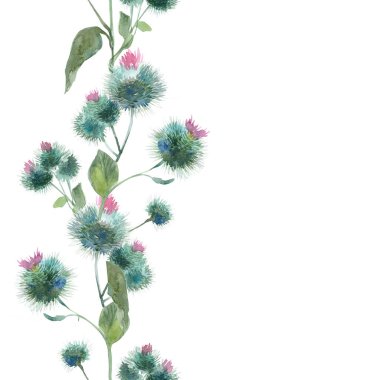 Gelişen tıbbi devedikeni dalları. 