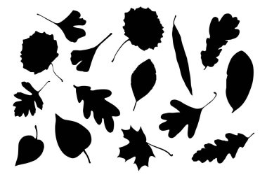 Büyük bir el çekme vektörü kümesi elementleri bırakır. Vektör illüstrasyonu. 