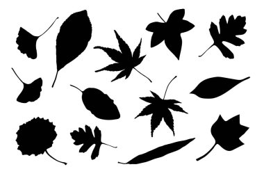 Büyük bir siyah beyaz vektör kümesi elementler bırakır. Vektör illüstrasyonu. 