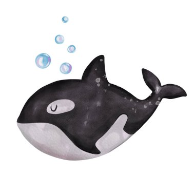 Cute little killer whale portrait. Hand drawn watercolor nursery illustration