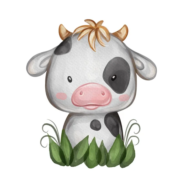 Little cow portrait. Hand drawn watercolor nursery illustration