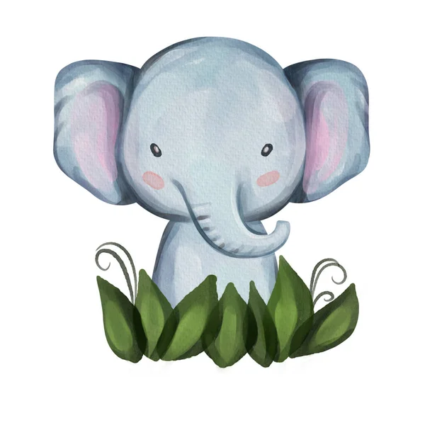 Little elephant portrait. Hand drawn watercolor nursery illustration
