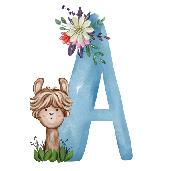 動物保育園アルファベット Aはアルパカの略 手描き水彩アルファベット文字 — ストック写真