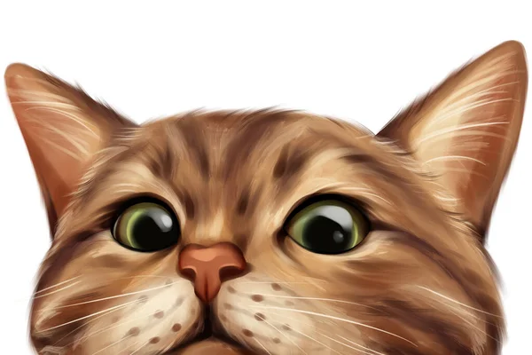 Curious cat face. Hand drawn cat illustration