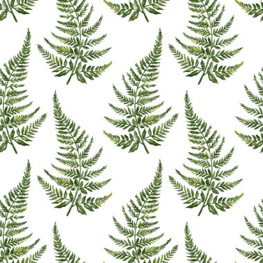 Güzel eğreltiotu eğreltiotu deseni. Suluboya tekstil çiçek desensiz desen koleksiyonu