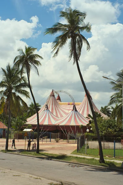 Palmer Och Kubansk Cirkus Nära Stranden Havanna Kuba — Stockfoto