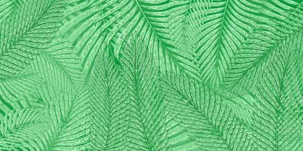 Tropik Palmiye Yaprakları Duvar Kağıdı Mimari Fresk Yeşili Renkler Fresco — Stok fotoğraf