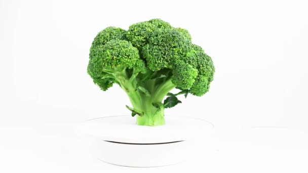 Repollo Entero Brócoli Gira Vegetal Verde Fresco Aislado Blanco Rotación — Vídeos de Stock