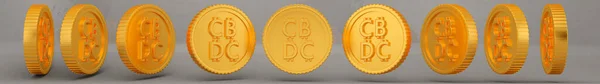 3D渲染Cbdc硬币的旋转 一组旋转的硬币在许多视图中孤立在灰色背景与阴影 高质量3D插图 — 图库照片