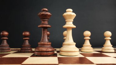 Satranç kraliçeleri, beyaz ve siyah piyonların arka planına karşı yüz yüze. Kadın çatışması konsepti. Reklam bayanları satranç turnuvaları için pankart. Yüksek kalite fotoğraf