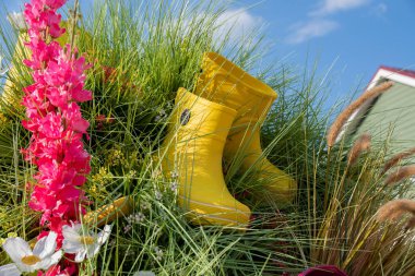 Çiçek ve çimenden oluşan sarı lastik çizmeler. Bahçıvanlık ve çiftçilik kavramına sahip parlak bir bahar kompozisyonu. Bahar indirimleri ve havası. Bahçe Malları Dükkanı. Yüksek kalite fotoğraf